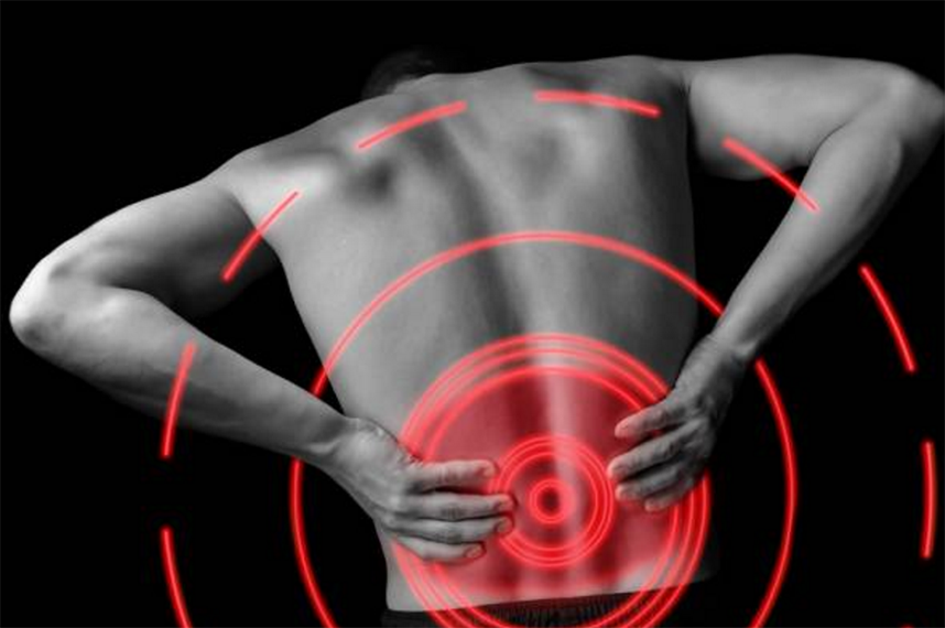 obturator-nerve-sacral-plexus-how-to-fix-back-and-neck-pain