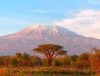 Tanzania Holiday Packages from Kenya: A Comprehensive Traveling Guide