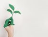 What is Green HR & How Will it Help Your Business