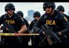 DEA agents investigating a narcotics case in action.