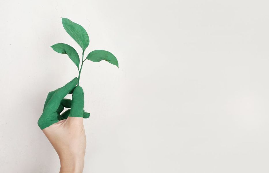 What is Green HR & How Will it Help Your Business