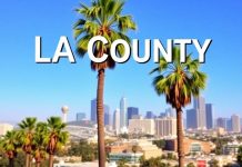 Los Angeles skyline with palm trees on a sunny day.