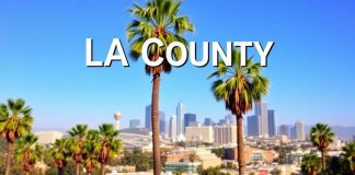 Los Angeles skyline with palm trees on a sunny day.