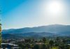 Thousand Oaks, CA landscape with palm trees and mountains.