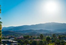 Thousand Oaks, CA landscape with palm trees and mountains.