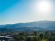 Thousand Oaks, CA landscape with palm trees and mountains.